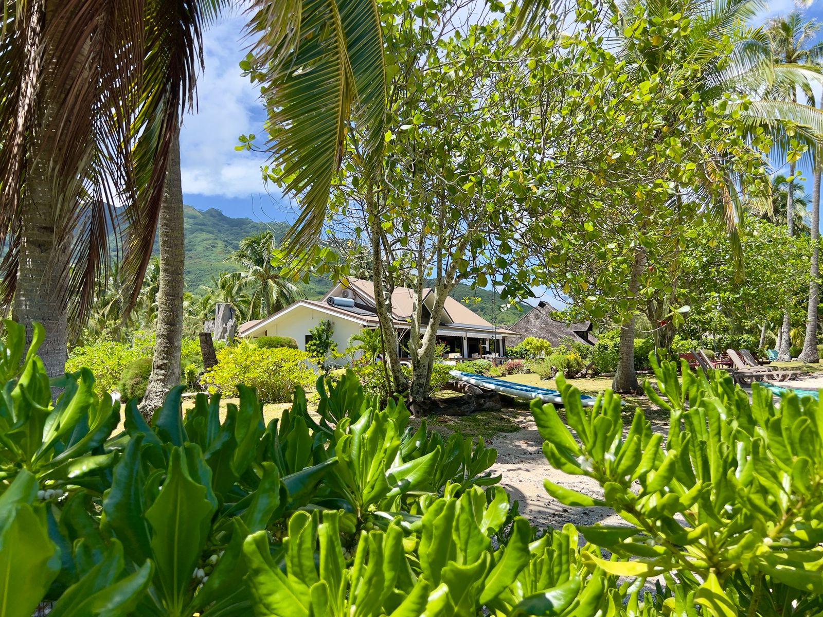 jardin bord de lagon
