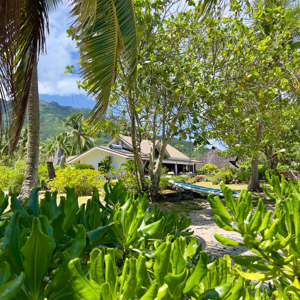 jardin bord de lagon