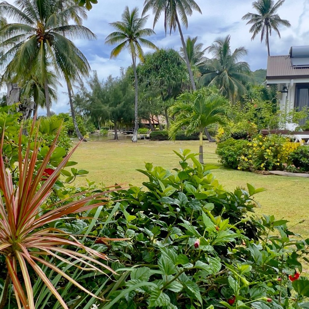 villa avec jardin moorea